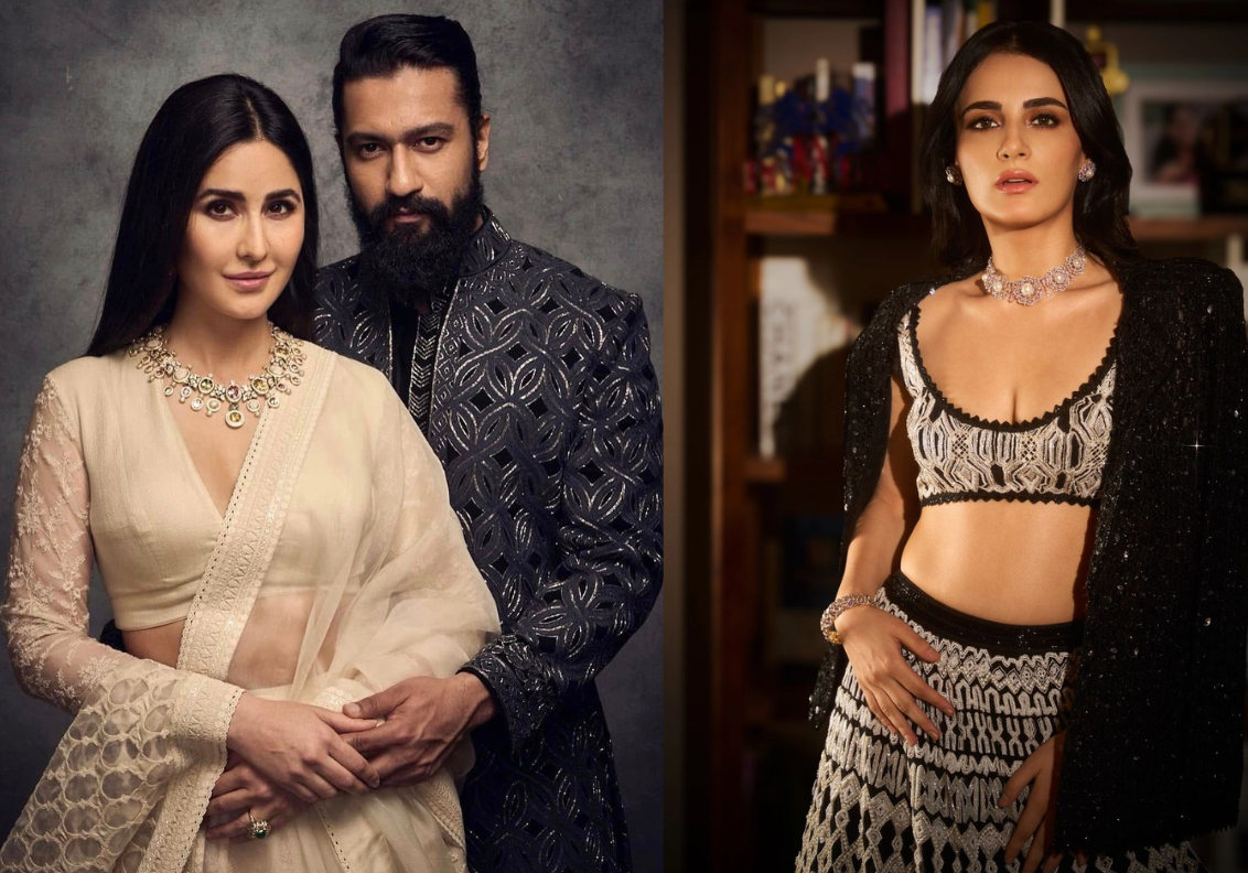 ভিকি কৌশল বিয়ের আগে রাধিকা মদনের সঙ্গে সম্পর্কে ছিলেন?