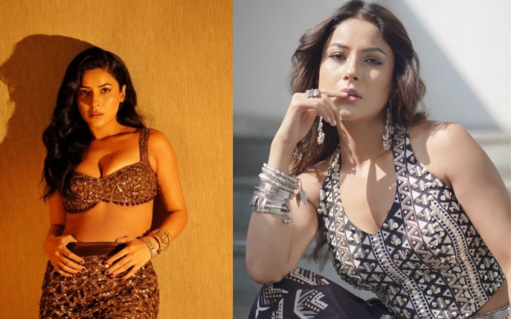 Shehnaaz Gill Latest News 2025 : Flim Producer Seshnaaz Gill